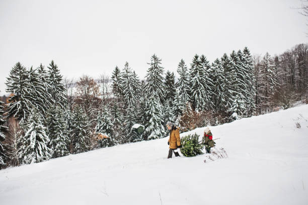 A parent and child retrieving Christams tree
